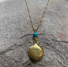 Scallop shell with turquoise bead necklace.