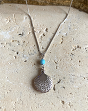 Scallop shell with turquoise bead necklace.