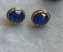 Oval lapis stud earrings with 24k gold detail