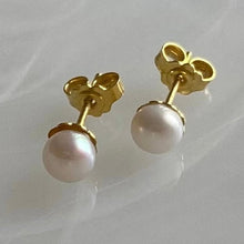 Akoya 14k stud earrings