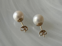 Akoya 14k stud earrings