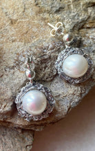 Halo Pearl drop studs