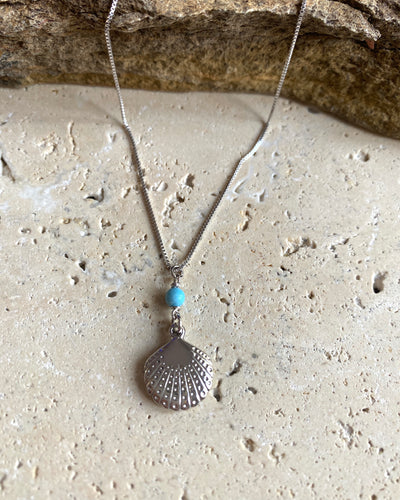 Scallop shell with turquoise bead necklace.